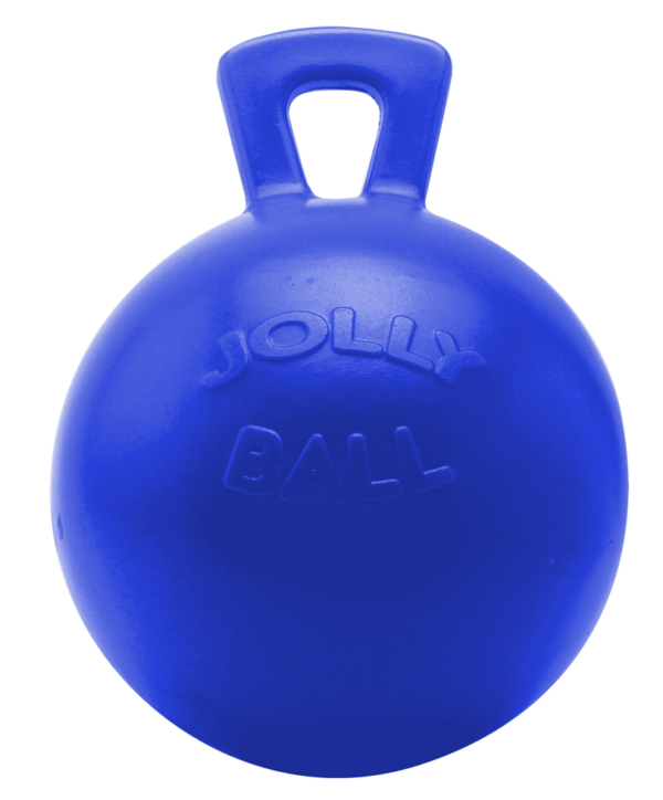 Jolly Ball Blau "geruchlos" 25 cm