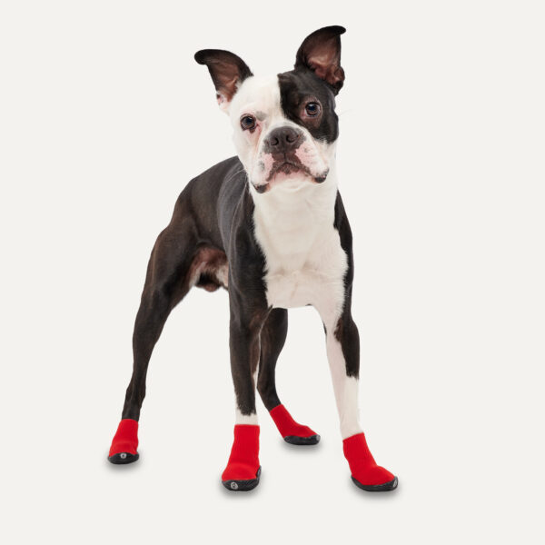 Gooeez  Regular Dog Boots (2-pack) 2XS Red/Black - Imagen 2