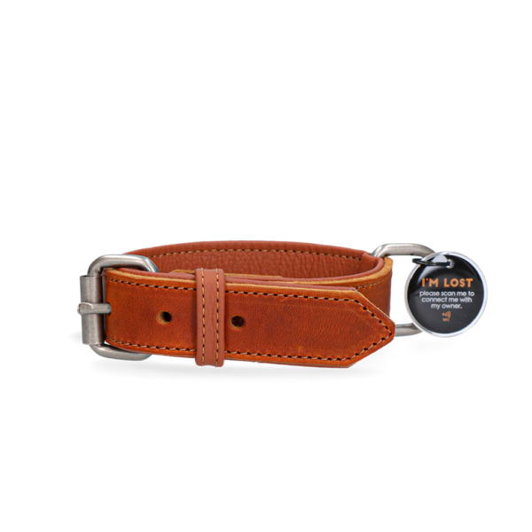 Spotted! Pro Leather Collar Cognac 2.5x40cm