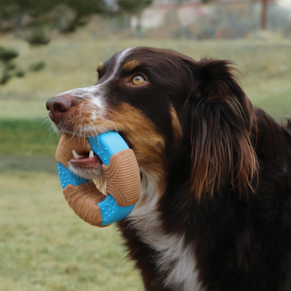 KONG CoreStrength Bamboo Bone Lg - Imagen 2