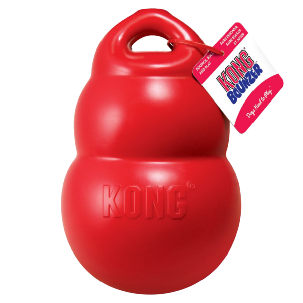 KONG Bounzer Large