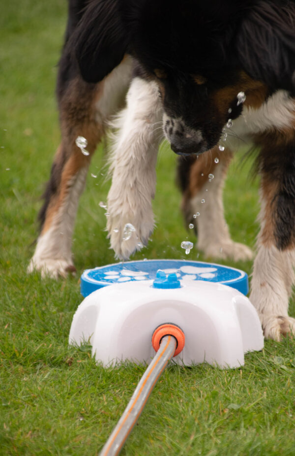 CoolPets Splash Water Fountain - Imagen 2