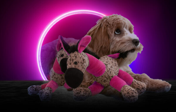 Retrodog Donkey Pink M - Imagen 2