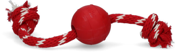 KONG Ball w/Rope Small - immagine 2