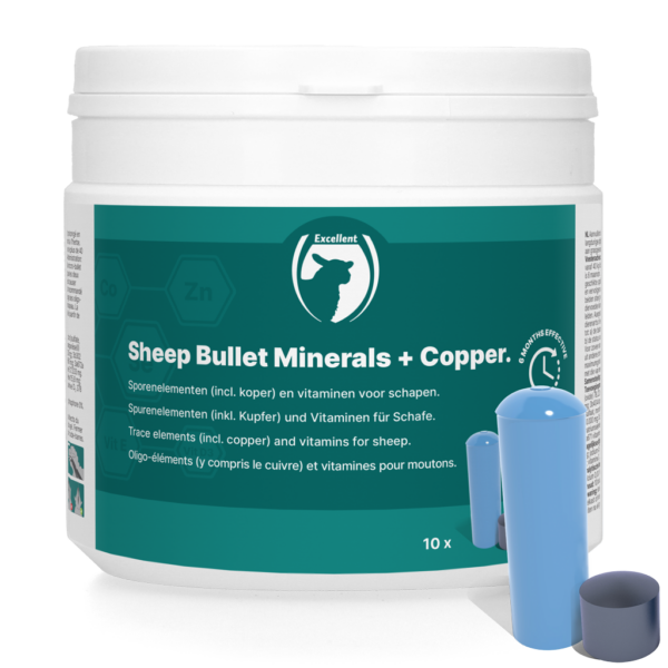 Sheep Bullet Minerals + Koper