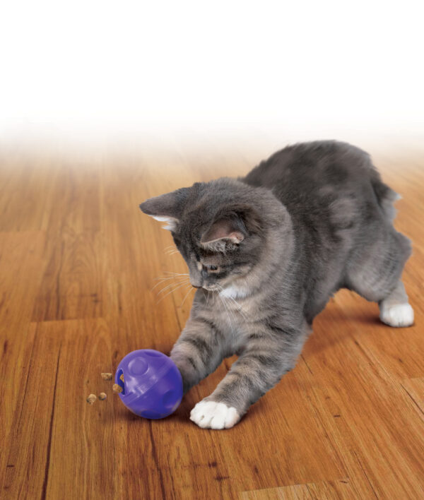 KONG Cat Treat Ball - Imagen 2