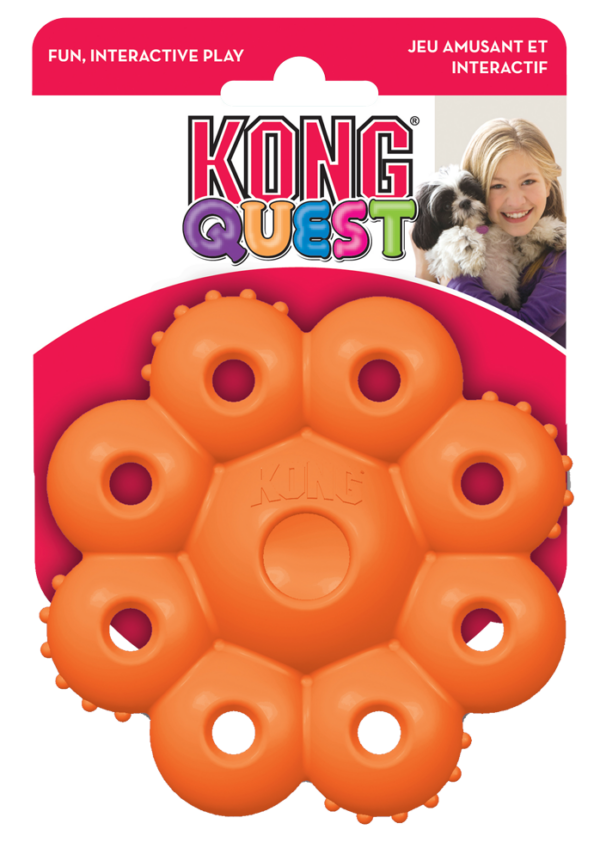 KONG Quest Star Pods Small - immagine 2