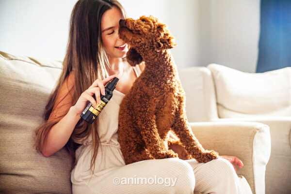 Animology Star Pups Fragrance Mist - Imagen 2