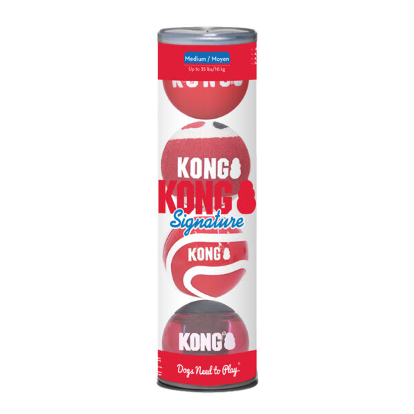 KONG Signature Balls 4-pk Assorted Md