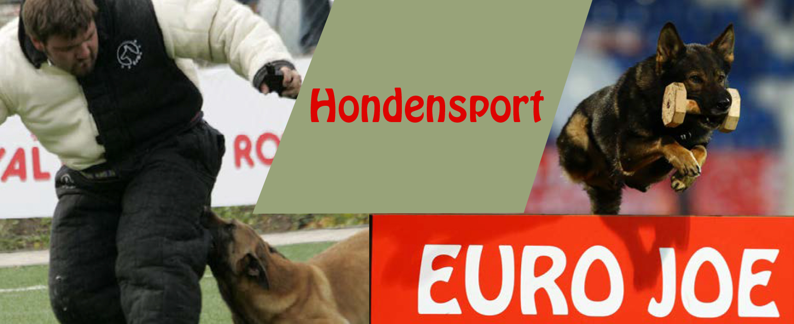 duidelijkheid lading Aardrijkskunde Euro Joe K9 Shop | Hondensport | Hondenmateriaal